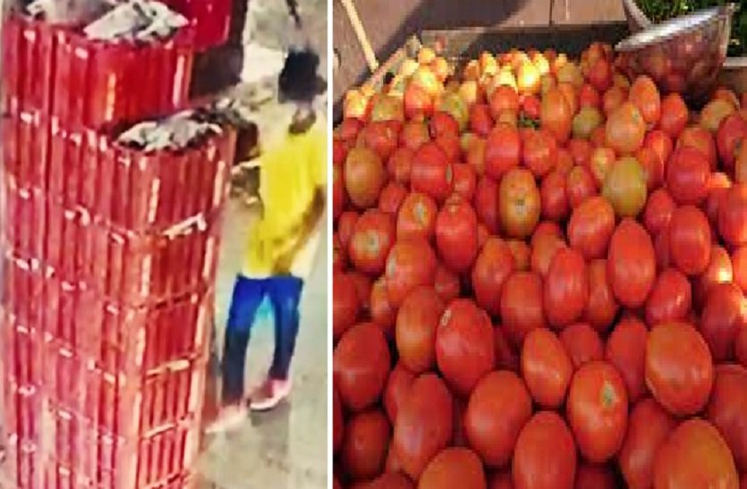 jaipur . 150 kg tomato and 350 kg ginger stolen from mandi