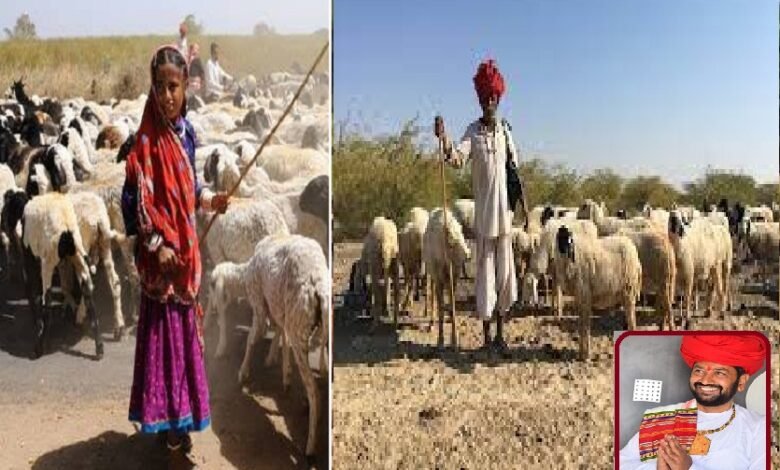 sirohi. Need to open residential schools… children of displaced cattle herders will not be forced to migrate