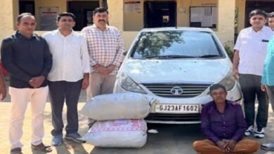 sirohi. A large quantity of ganja was found on mandar Matasan road- a youth from Palanpur was arrested for smuggling