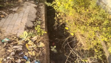 सिरोही औद्योगिक क्षेत्र में सफाई के पुख्ता प्रबंध तक नहीं- उद्यमियों के लिए दुखदायी बन रहे टूटे नाले और गंदगी The Sirohi industrial area lacks adequate sanitation facilities – broken drains and filth are causing distress for entrepreneurs.