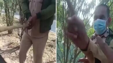 सिरोही. हाईवे पर परिवहन विभाग के लठैत ट्रकों से वसूल रहे एंट्री फीस Sirohi/ aburoad. Transport department officials are collecting entry fees from trucks on the highway.