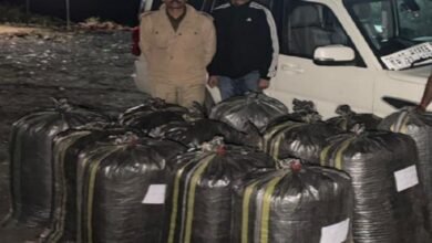 सिरोही. पिण्डवाड़ा थाना पुलिस ने हाईवे पर कार्रवाई करते हुए डोडा-पोस्त से भरा लग्जरी वाहन जब्त कर लिया Sirohi: Police from Pindwara police station seized a luxury vehicle loaded with poppy husk while taking action on the highway.