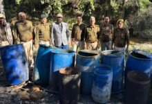 सिरोही. आबकारी महकमे ने आबूरोड व सिरोही हथकढ़ पर मारा छापा- सात भट्टियां तोड़ी Sirohi: The Excise Department raided illegal liquor distilleries in Abu Road and Sirohi – seven stills were destroyed.