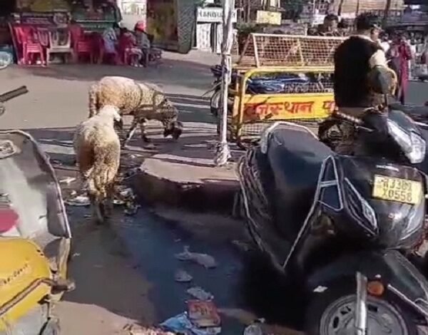 सिरोही. माउंट आबू में उपेक्षित रहा अटल चौक- केवल तस्वीरों व फोटो सेशन तक सीमित रहा सुशासन दिवस Sirohi: Atal Chowk in Mount Abu remained neglected – Good Governance Day was limited to only pictures and photo sessions.