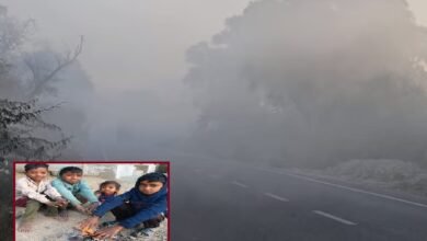 सिरोही. माउंट आबू में पारा माइनस पर - मौसम विभाग ने अगले दो दिनों में जताई मावठ की संभावना Sirohi: Mercury drops below freezing point in Mount Abu - Meteorological department predicts possibility of winter rainfall in the next two days.