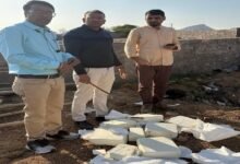 सिरोही. पिण्डवाड़ा क्षेत्र में झाड़ोली की सर्वोत्तम होटल से बड़ी मात्रा में पनीर जब्त - जिले में पाटन गुजरात से आ रहा पनीर Sirohi: A large quantity of paneer (Indian cottage cheese) was seized from a hotel sarvottam in Jhadoli Pindwara area. The paneer was being brought into the district from Patan Gujarat.