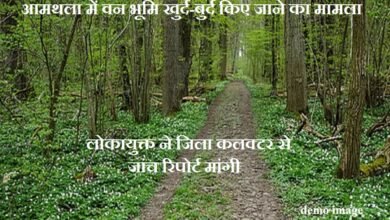 लोकायुक्त पहुंचा आमथला की वन भूमि का मामला - जिला कलक्टर से मांगी तथ्यात्मक जांच रिपोर्ट Lokayukta take up the case of forest land in Amthala - seeks factual investigation report from the District Collector.