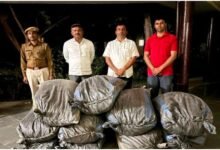 जालोर. भीनमाल थाना क्षेत्र में एंटी नारकोटिक्स टास्क फोर्स (एएनटीएफ ) ने बड़ी कार्रवाई करते हुए 194 किलो डोडा-पोस्त बरामद किया Jalore: In a major operation, the Anti-Narcotics Task Force (ANTF) recovered 194 kg of poppy husk in the Bhinmal police station area.