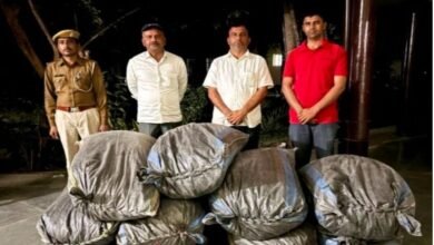 जालोर. भीनमाल थाना क्षेत्र में एंटी नारकोटिक्स टास्क फोर्स (एएनटीएफ ) ने बड़ी कार्रवाई करते हुए 194 किलो डोडा-पोस्त बरामद किया Jalore: In a major operation, the Anti-Narcotics Task Force (ANTF) recovered 194 kg of poppy husk in the Bhinmal police station area.