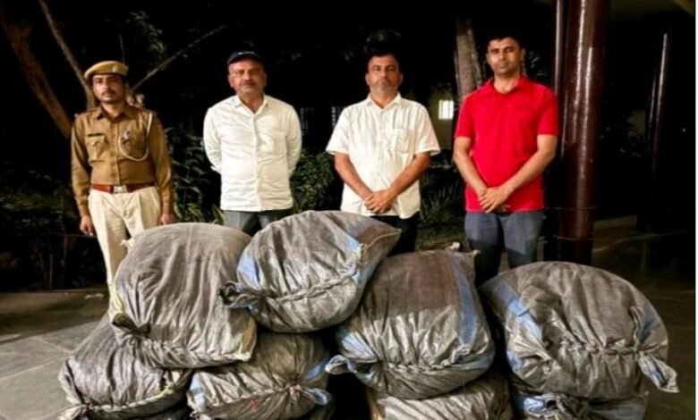 जालोर. भीनमाल थाना क्षेत्र में एंटी नारकोटिक्स टास्क फोर्स (एएनटीएफ ) ने बड़ी कार्रवाई करते हुए 194 किलो डोडा-पोस्त बरामद किया Jalore: In a major operation, the Anti-Narcotics Task Force (ANTF) recovered 194 kg of poppy husk in the Bhinmal police station area.