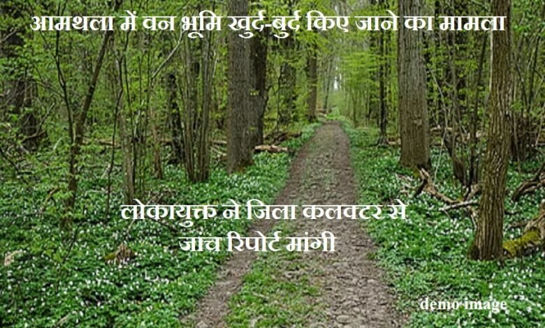 लोकायुक्त पहुंचा आमथला की वन भूमि का मामला - जिला कलक्टर से मांगी तथ्यात्मक जांच रिपोर्ट Lokayukta take up the case of forest land in Amthala - seeks factual investigation report from the District Collector.