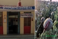 सिरोही. होली के मद्देनजर मादक पदार्थों की तस्करी सिरोही/ कालन्द्री. अफीम के साथ युवक धराया तो डोडा-पोस्त तस्करी में पति-पत्नी Sirohi. Drug trafficking in the run-up to Holi. Sirohi/Kalandri. A young man was caught with opium while a husband and wife were caught smuggling poppy husk.