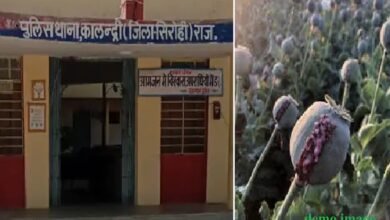 सिरोही. होली के मद्देनजर मादक पदार्थों की तस्करी सिरोही/ कालन्द्री. अफीम के साथ युवक धराया तो डोडा-पोस्त तस्करी में पति-पत्नी Sirohi. Drug trafficking in the run-up to Holi. Sirohi/Kalandri. A young man was caught with opium while a husband and wife were caught smuggling poppy husk.