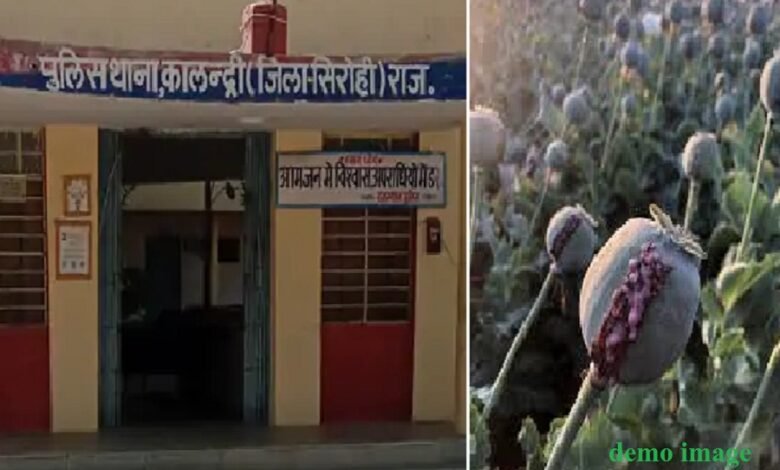 सिरोही. होली के मद्देनजर मादक पदार्थों की तस्करी सिरोही/ कालन्द्री. अफीम के साथ युवक धराया तो डोडा-पोस्त तस्करी में पति-पत्नी Sirohi. Drug trafficking in the run-up to Holi. Sirohi/Kalandri. A young man was caught with opium while a husband and wife were caught smuggling poppy husk.