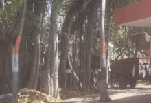 सिरोही जिला परिषद में कचरे के ढेर - समय पर नहीं उठता कचरा- जिले की सफाई व्यवस्था की मॉनिटरिंग नहीं Heaps of Garbage at the Sirohi District Council — Waste Not Collected on Time — No Monitoring of the District's Sanitation System