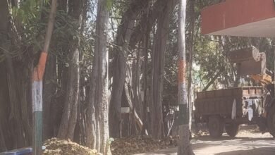 सिरोही जिला परिषद में कचरे के ढेर - समय पर नहीं उठता कचरा- जिले की सफाई व्यवस्था की मॉनिटरिंग नहीं Heaps of Garbage at the Sirohi District Council — Waste Not Collected on Time — No Monitoring of the District's Sanitation System