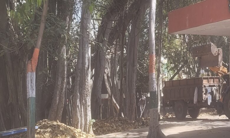 सिरोही जिला परिषद में कचरे के ढेर - समय पर नहीं उठता कचरा- जिले की सफाई व्यवस्था की मॉनिटरिंग नहीं Heaps of Garbage at the Sirohi District Council — Waste Not Collected on Time — No Monitoring of the District's Sanitation System