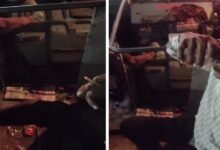 सिरोही आगार की रोडवेज बस में कर्मचारियों ने छलकाए जाम सिरोही आगार उदयपुर - भीनमाल रोडवेज बस Employees of the Sirohi Depot Roadways bus poured liquor. Sirohi Depot Udaipur–Bhinmal Roadways Bus