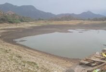 सिरोही. नदी में व्यर्थ बहा दिया धांता बांध का चौदह फीट पानी - जल संरक्षण के दावों का कड़वा सच, अब शून्य पर गेज Sirohi: Fourteen feet of water from Dhanta Dam wasted drained into the river- The bitter truth behind water conservation claims; the gauge now reads zero.