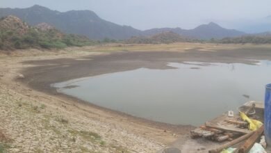 सिरोही. नदी में व्यर्थ बहा दिया धांता बांध का चौदह फीट पानी - जल संरक्षण के दावों का कड़वा सच, अब शून्य पर गेज Sirohi: Fourteen feet of water from Dhanta Dam wasted drained into the river- The bitter truth behind water conservation claims; the gauge now reads zero.
