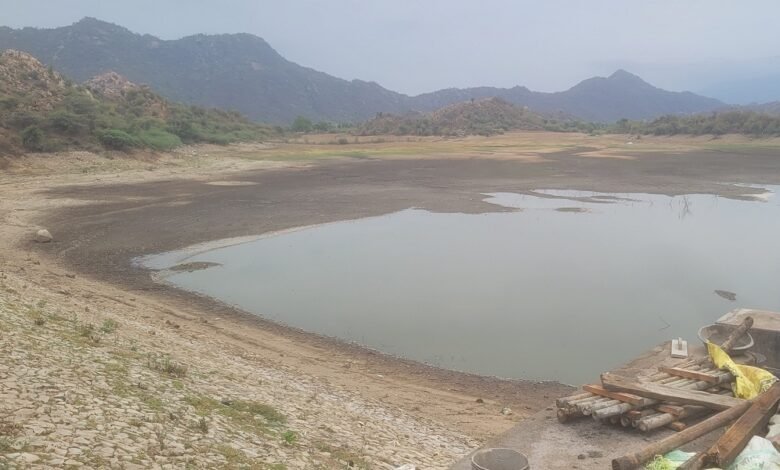 सिरोही. नदी में व्यर्थ बहा दिया धांता बांध का चौदह फीट पानी - जल संरक्षण के दावों का कड़वा सच, अब शून्य पर गेज Sirohi: Fourteen feet of water from Dhanta Dam wasted drained into the river- The bitter truth behind water conservation claims; the gauge now reads zero.