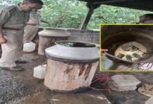 सिरोही. आबकारी महकमे ने आबूरोड क्षेत्र में कार्रवाई करते हुए भारी मात्रा में हथकढ़ शराब बरामद सिरोही. आग नहीं अब इलेक्ट्रीक हीटर से पका रहे पारम्परिक देसी शराब Sirohi: The Excise Department seized a large quantity of illicitly distilled liquor during an operation in the Abu Road area. Sirohi: Traditional country liquor is now being brewed using electric heaters instead of open fires.