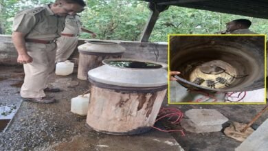 सिरोही. आबकारी महकमे ने आबूरोड क्षेत्र में कार्रवाई करते हुए भारी मात्रा में हथकढ़ शराब बरामद सिरोही. आग नहीं अब इलेक्ट्रीक हीटर से पका रहे पारम्परिक देसी शराब Sirohi: The Excise Department seized a large quantity of illicitly distilled liquor during an operation in the Abu Road area. Sirohi: Traditional country liquor is now being brewed using electric heaters instead of open fires.