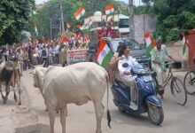 सिरोही. भाजपा की तिरंगा यात्रा वाहन रैली में बाइक सवार बगैर हेलमेट नजर आए- मार्ग में गोमाता से बचते हुए भारत माता के जयकारे लगाए Sirohi: Motorcyclists were seen without helmets during the BJP's 'Tiranga Yatra' vehicle rally; while navigating the route and avoiding cows, they raised chants of 'Bharat Mata Ki Jai'.