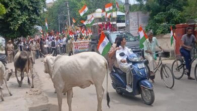 सिरोही. भाजपा की तिरंगा यात्रा वाहन रैली में बाइक सवार बगैर हेलमेट नजर आए- मार्ग में गोमाता से बचते हुए भारत माता के जयकारे लगाए Sirohi: Motorcyclists were seen without helmets during the BJP's 'Tiranga Yatra' vehicle rally; while navigating the route and avoiding cows, they raised chants of 'Bharat Mata Ki Jai'.