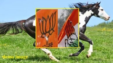 सिरोही . रिसॉर्ट पॉलिटिक्स देख ली अब होर्स ट्रेंडिंग भी दिख सकती है सिरोही . सत्ता हासिल करने की कवायद में हो सकती है खरीद-फरोख्त सिरोही . शिवगंज व आबूरोड में गुल खिला सकता है किनारे का बहुमत Sirohi: After 'resort politics' horse-trading may now be on the cards. Sirohi: Buying and selling of support could occur in the bid to capture power. Sirohi: A wafer-thin majority could lead to unexpected developments in Shivganj and Abu Road.