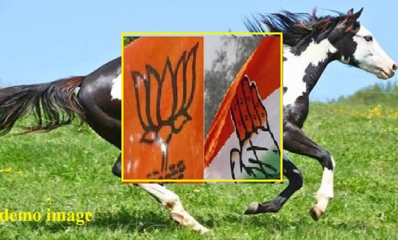 सिरोही . रिसॉर्ट पॉलिटिक्स देख ली अब होर्स ट्रेंडिंग भी दिख सकती है सिरोही . सत्ता हासिल करने की कवायद में हो सकती है खरीद-फरोख्त सिरोही . शिवगंज व आबूरोड में गुल खिला सकता है किनारे का बहुमत Sirohi: After 'resort politics' horse-trading may now be on the cards. Sirohi: Buying and selling of support could occur in the bid to capture power. Sirohi: A wafer-thin majority could lead to unexpected developments in Shivganj and Abu Road.
